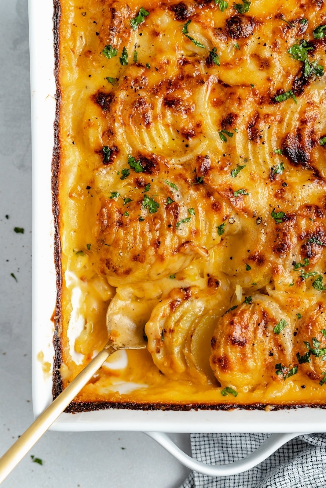 creamy au gratin potatoes in a baking dish with a spoon
